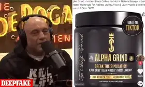 Popular celebrity deepfakes joe rogan